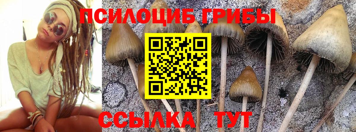 Галлюциногенные грибы Magic Shrooms Скопин