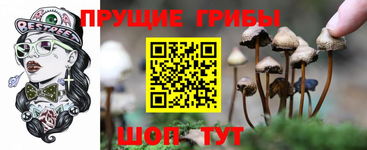 Псилоцибиновые грибы Psilocybe  Вход с VPN  Галлюциногенные грибы Psilocybine cubensis  Скопин 