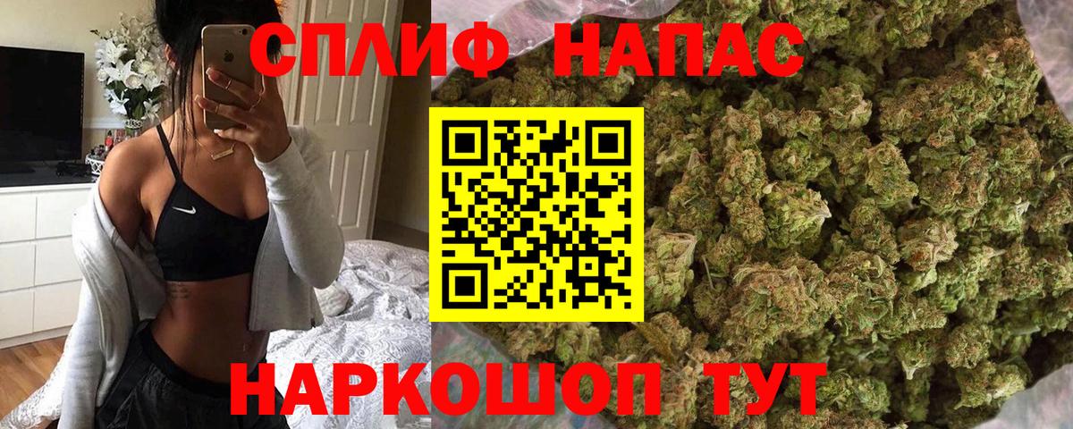 Каннабис сатива  Конопля марихуана  Скопин  Вход с VPN 